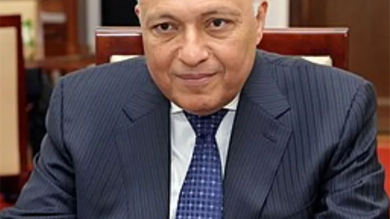 الوزير سامح شكري ونظيره النمساوي يناقشان سبل تعزيز العلاقات الثنائية والقضايا ذات الاهتمام المُشترك