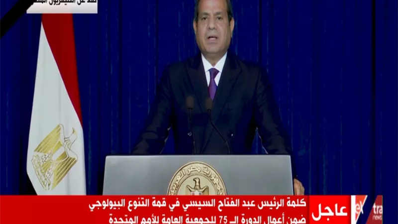 الرئيس السيسي: من الضروري التحرك بشكل أكثر فاعلية في مواجهة التطورات التي تهدد دولنا كافة
