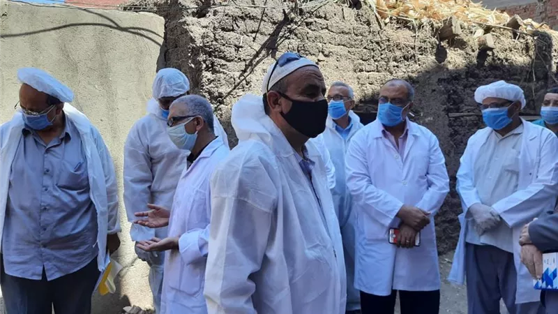 الزراعة: مسح 2431 قريه لرصد واكتشاف الأمراض الوبائية