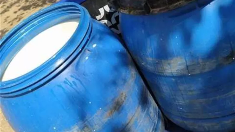 ضبط ألبان بالحشرات فى بنى سويف