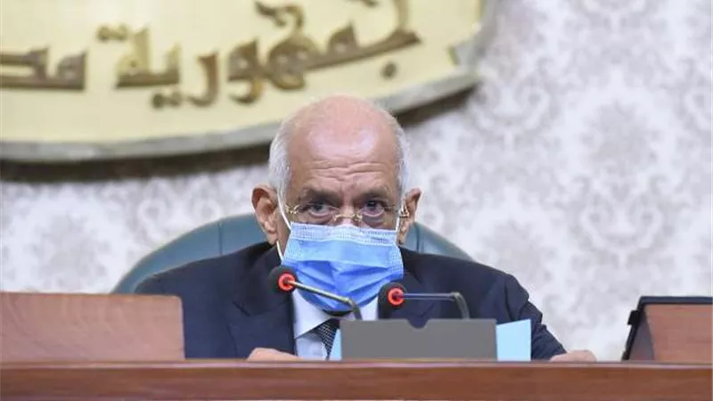 رئيس مجلس النواب يعلن حفظ طلب رفع الحصانة عن نائبين