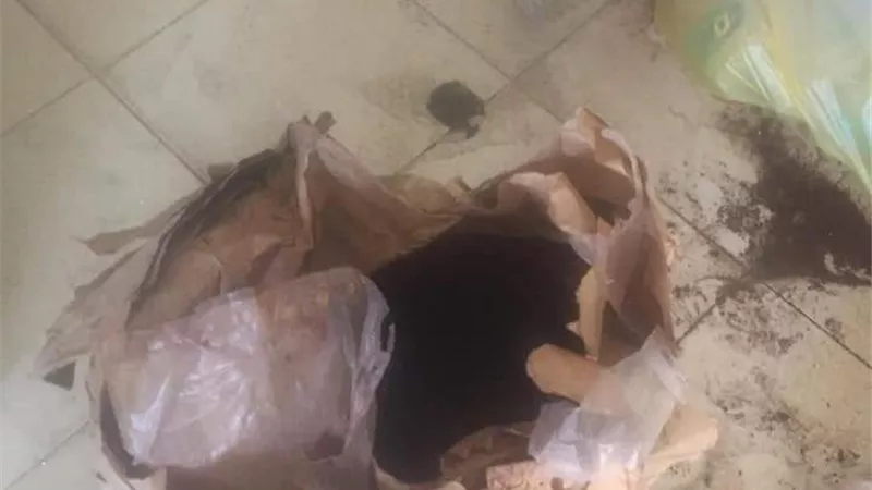 صحة جنوب سيناء تضبط 249 كجم و62 لتر أغذية ومشروبات فاسدة بشرم الشيخ
