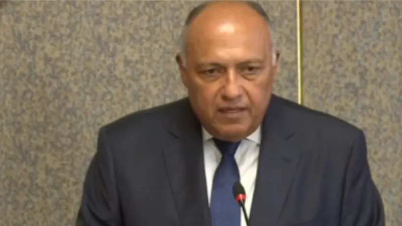 وزير الخارجية : تصريحات تركيا بشأن مصر متكررة ومتناقضة