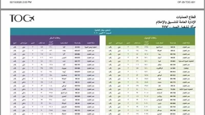 113 رحلة تنقل اكثر من 24 ألف راكب منهم 45 رحلة لمصر للطيران