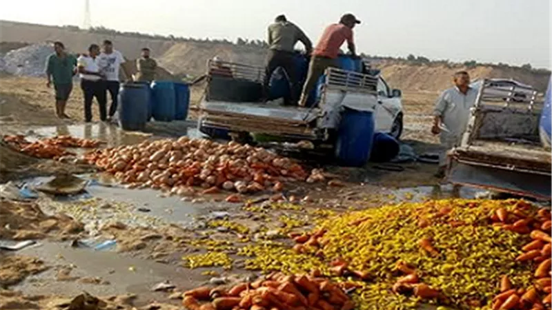 إعدام أكثر من ٢.٥ طن أغذية فاسدة..وغلق ٤ منشآت غذائية غير مرخصة بالزقازيق والحسينية