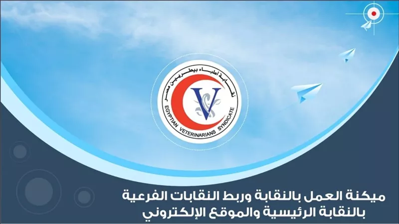 تكنولوجيا المعلومات بالبيطريين: إطلاق التشغيل التجريبى لمشروع الميكنة.. الشهر الجاري