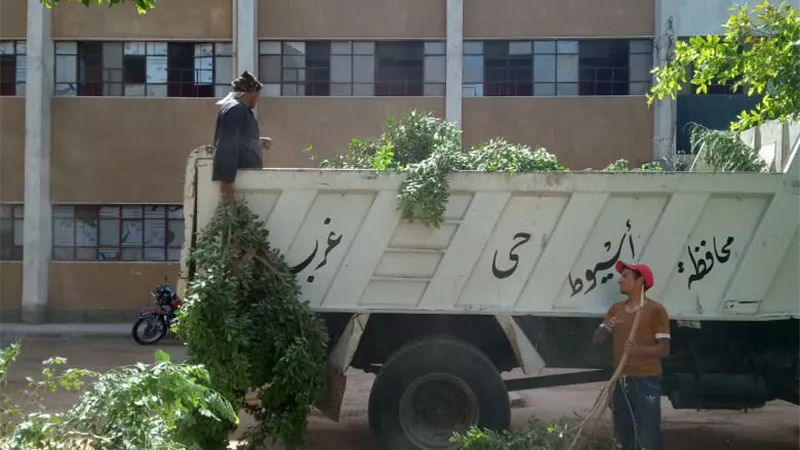 محافظ أسيوط: حملات نظافة لشوارع وميادين القوصية وتهذيب الأشجار بحي غرب