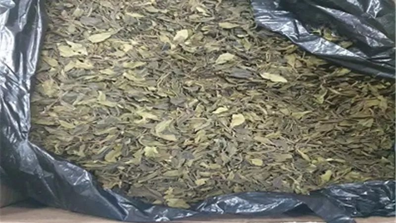 اليقظة والاحترافية.. سلاح الجمارك لضبط أغرب طرق تهريب المخدرات