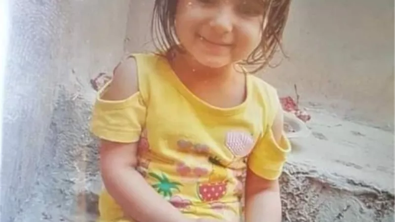 حجز المتهمين فى واقعة مقتل طفلة بالمنصورة