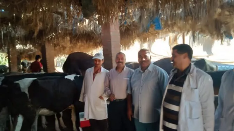 حملة بيطرية لتحصين المواشي والطيور بكفرالشيخ