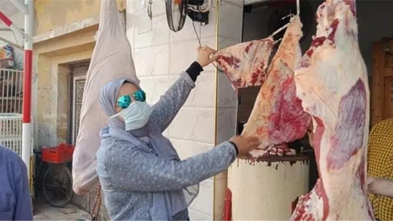 ضبط لحوم فاسدة وذبح خارج السلخانة فى حملة تموينية بالدقهلية
