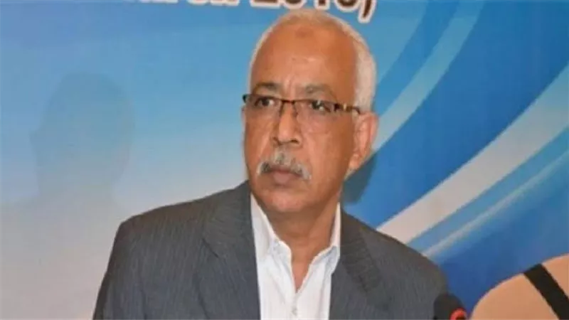 الجمل يدعو للاصطفاف الوطني في مواجهة محاولات النيل من استقرار مصر