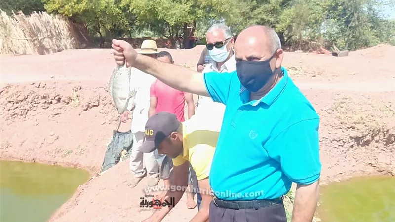رئيس الداخلة يشيد بمشروع لتربية أسماك البلطى ونتائج التفريخ بالوادى الجديد.صور