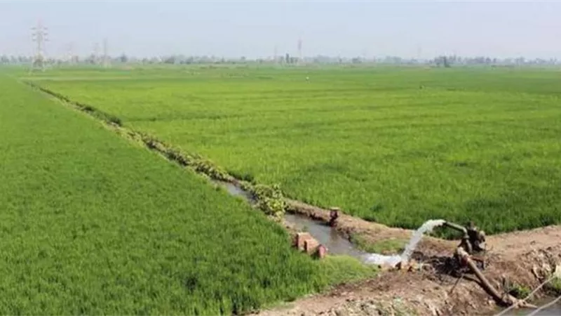 ٣٢ مليون يورو لتعزيز التنمية الريفية في مطروح والمنيا والفيوم