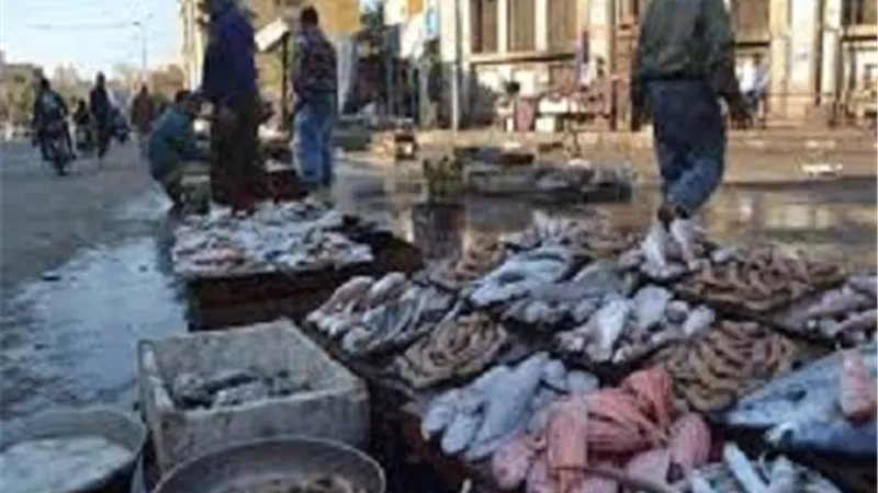 تطوير سوق السمك بأبى قير