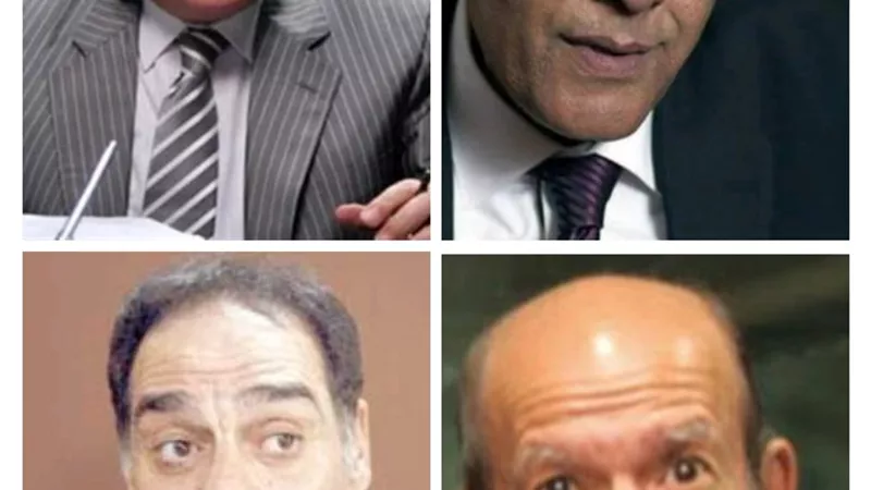 4 نجوم شاركوا فى الملحمة الوطنية.. تعرف عليهم