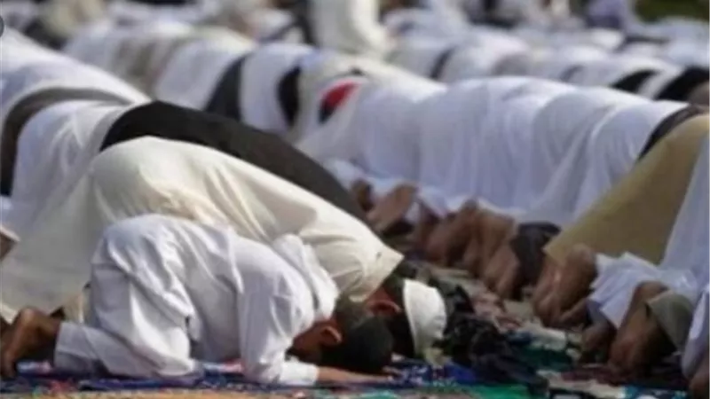 فضل قراءة سورة الملك قبل النوم