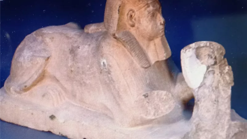 المتاحف المصرية تعرض قطع أثرية عسكرية