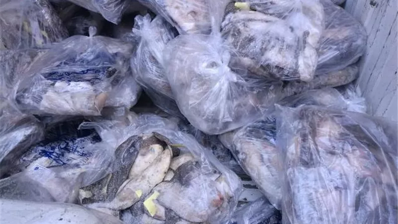 ضبط 2 طن لحوم ودواجن غير صالحة بالفيوم