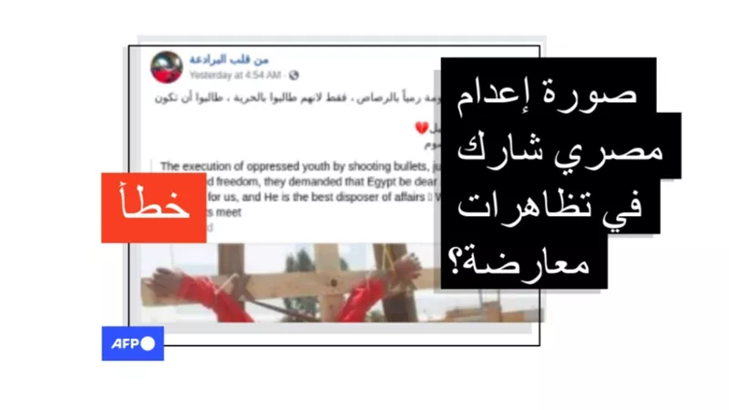 وكالة الانباء الفرنسية تفضح تزييف مواقع الجماعة وترويجهم لصورة اعدام معارض سوري على انها في مصر