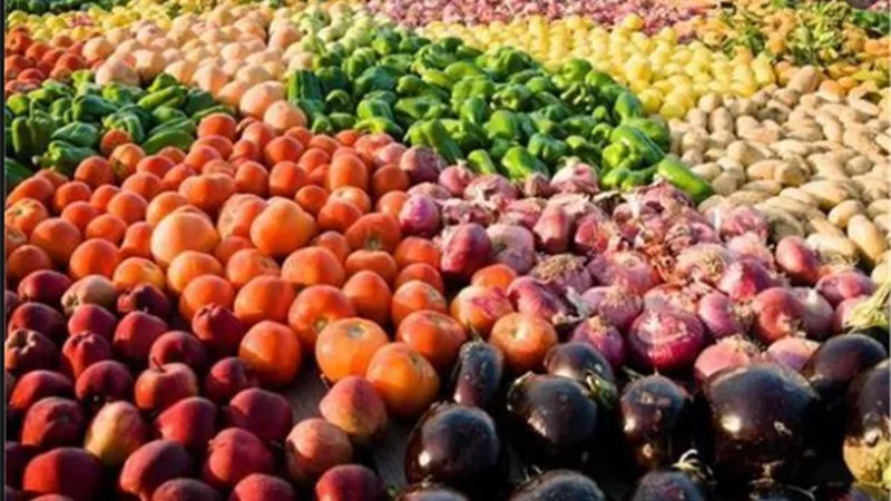 الزراعة: ارتفاع صادرات مصر الزراعية الى أكثر من 4.3 مليون طن