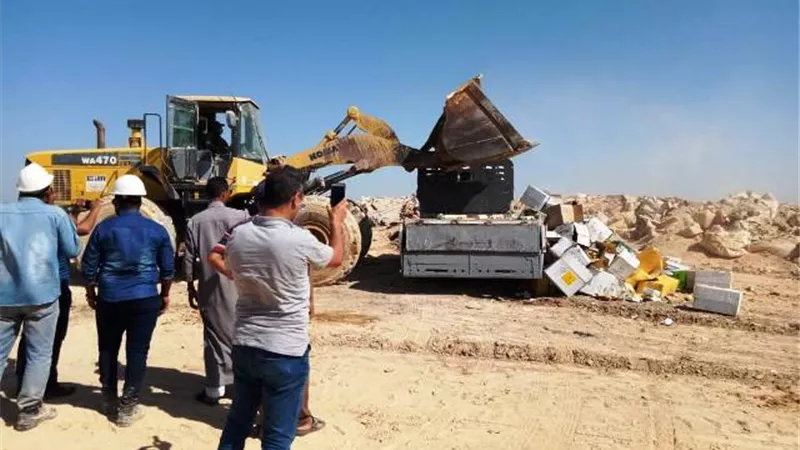 تعدم المبيدات وتكافح حشرة الخريف وتطالب بسرعة جنى القطن قبل الأمطار