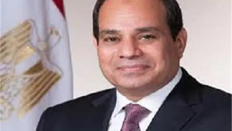 يسري الشرقاوي: السيسي يولى اهتمام كبير بالدول الأفريقية