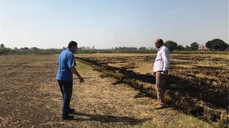 رصد مزارعين يقومان بحرق قش الارز وإتخاذ الإجراءات القانونية ضدهما