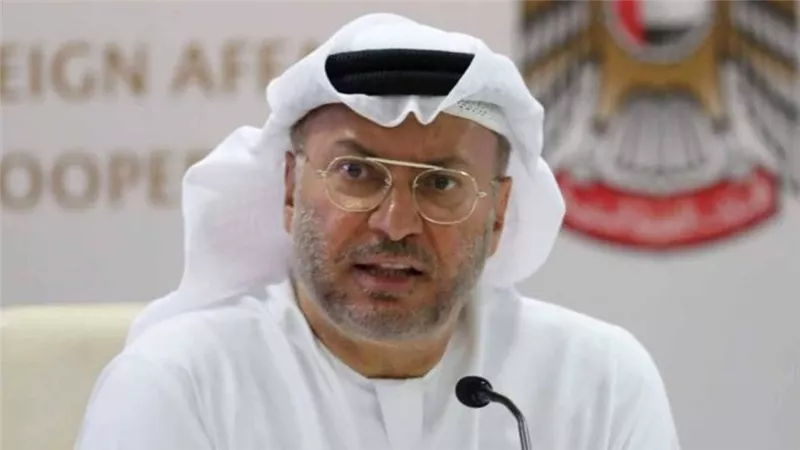 قرقاش: الجيش التركي في قطر عنصر عدم استقرار