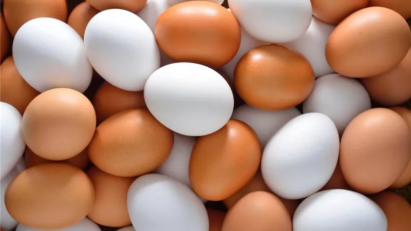5 فوائد صحية للبيض في يومه العالمي