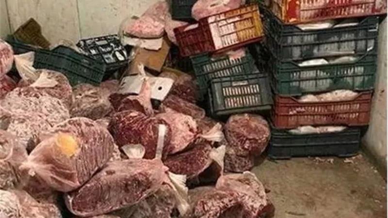 ضبط 2 طن لحوم غير صالحة للإستهلاك الآدمى بحلوان