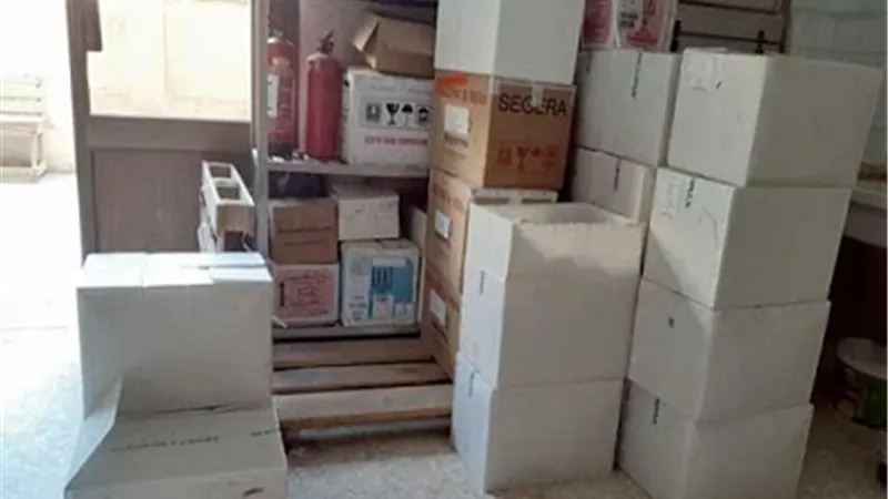 وصول 250 الف جرعة من تطعيم السحائي الثنائي لطلاب مدارس الدقهلية