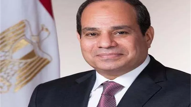 عضو مجلس الشيوخ: كلام الرئيس السيسي اليوم يستند إلى أدلة وواقع ملموس