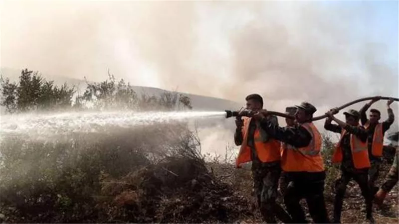 سوريا.. القبض على متهمين بإشعال الحرائق في طرطوس