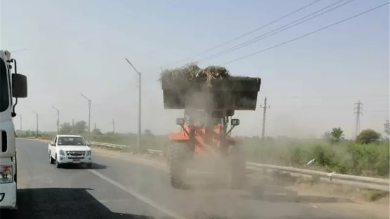 حملات نظافة موسعة بأرمنت جنوب غرب الأقصر