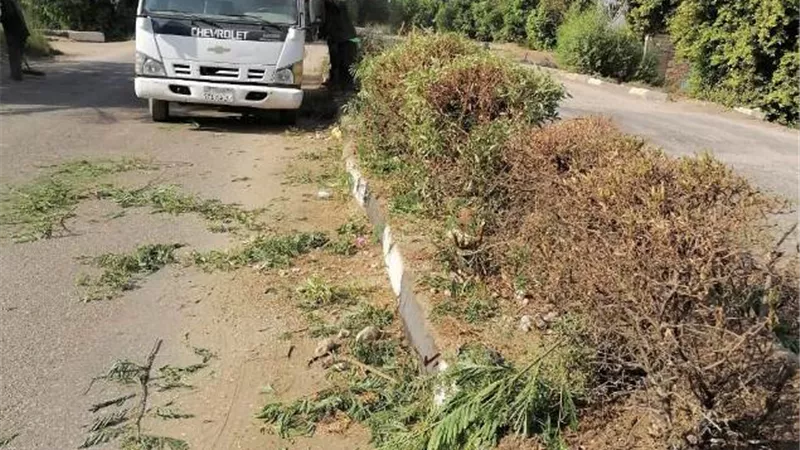 حملة نظافة للمسار السياحى بالبياضية جنوب الأقصر