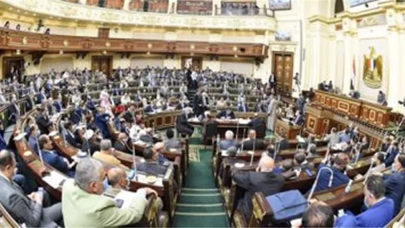 أهداف المجلس القومى لذوى الإعاقة وتشكيله فى القانون الجديد