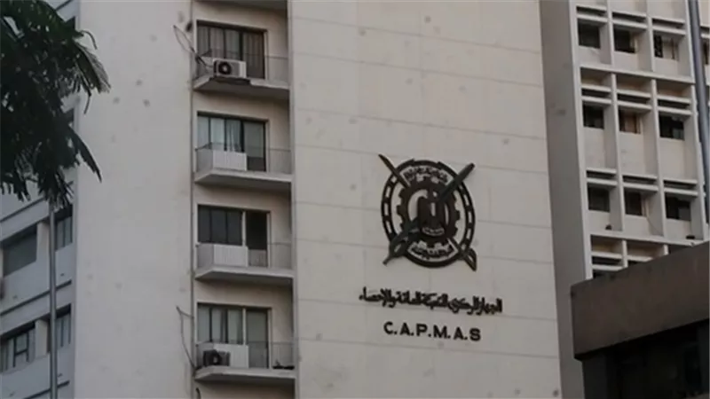 الإحصاء: مصر بلد الـ 31 مليون شاب