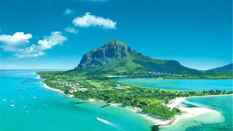 العثور على 
