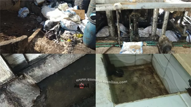 بالصور.. ضبط وإعدام ٥ طن أغذية فاسدة وغلق مصنع طحينة بالعاشر