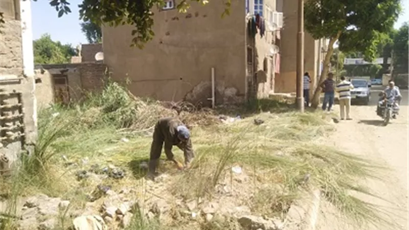حملات نظافة وتجميل بأرمنت جنوب غرب الأقصر