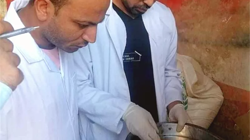 ضبط اغذية فاسدة فى حملة مفاجئة بالوادى الجديد..صور