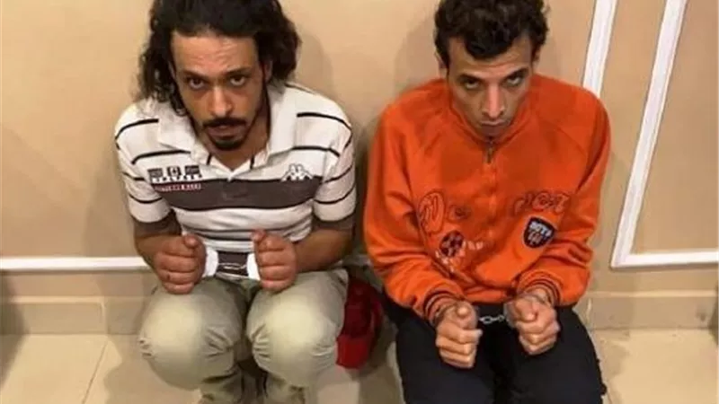 حطينا على النمر شحم ..تجديد حبس المتهمين بقتل فتاة المعادي
