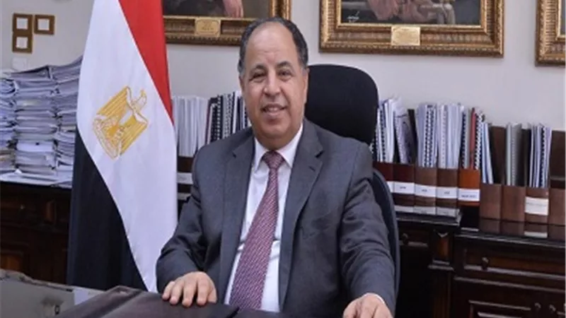 وزير المالية: أداء الاقتصاد المصرى فى ظل «كورونا» فاق التوقعات بشهادة صندوق النقد