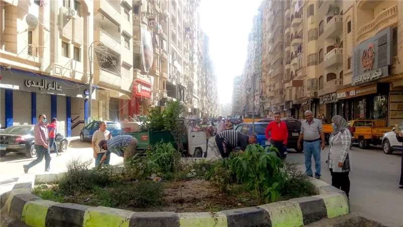 100 شاب وفتاة بالمنصورة يشاركون في مشروع تحت شعار مصر الجميلة