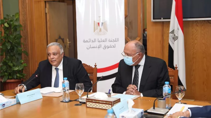 وزير الخارجية: المبادرة بإعداد أول استراتيجية وطنية متكاملة لحقوق الإنسان فى مصر يعكس وجود إرادة سياسية لتعزيز الحقوق والحريات الأساسية