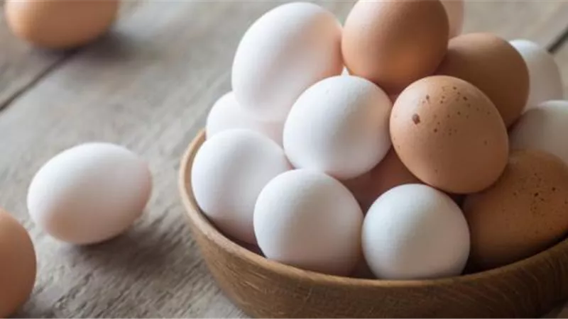 6 أنواع سامة من البيض ..لاتتناولها