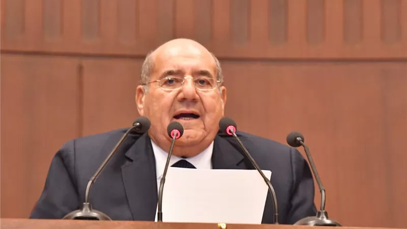 الحكومة تؤكد التعاون مع مجلس الشيوخ..وعبد الوهاب يشكر فوزي وإسماعيل