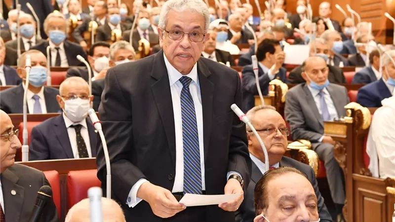 عبد المنعم السعيد: المصريين لديهم قناعة بوجود الغرفة التشريعية الثانية