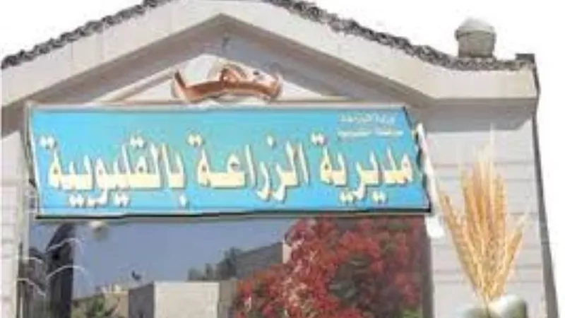 زراعة القليوبية تعلن زيادة طلبات تحويل نظام الرى من الغمر إلى التنقيط